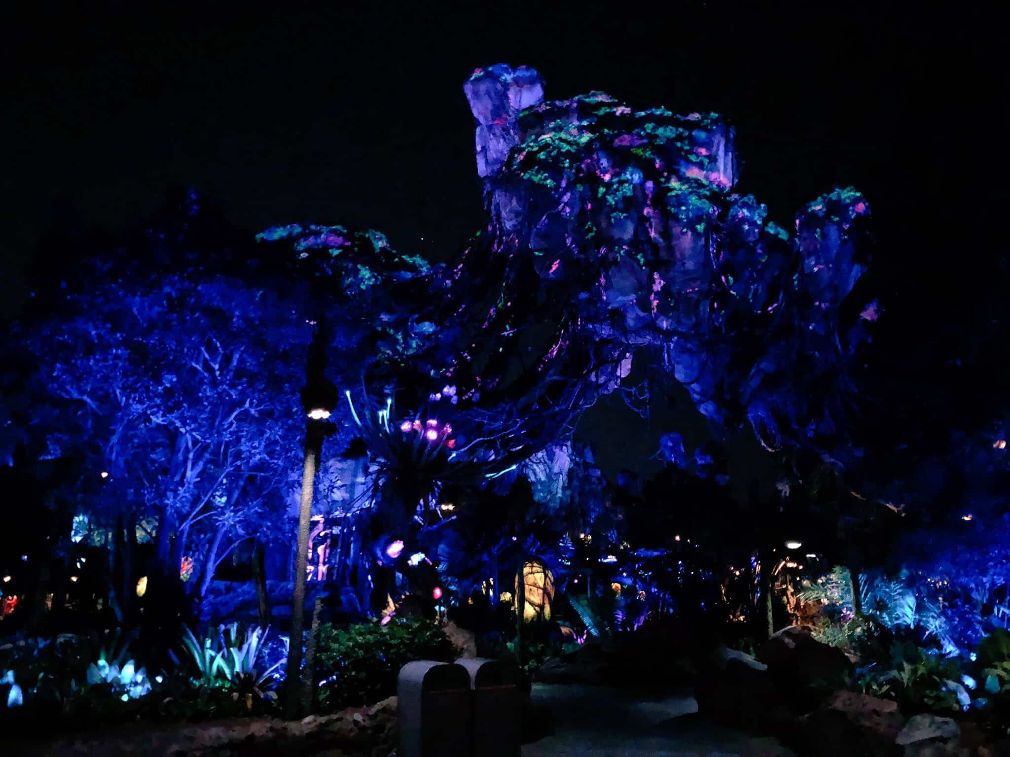 Pandora Disney après les heures d'ouverture
