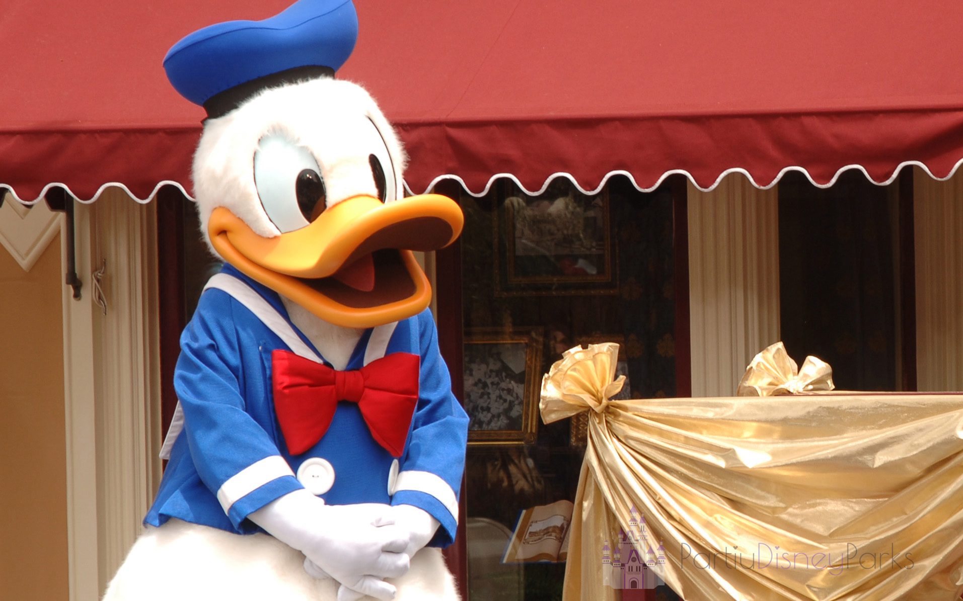 Our guide lists 8 ways on how to find Donald Duck at Disney