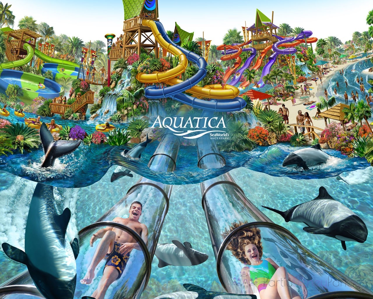 Parque Aquatica - Seaworld Wasserpark