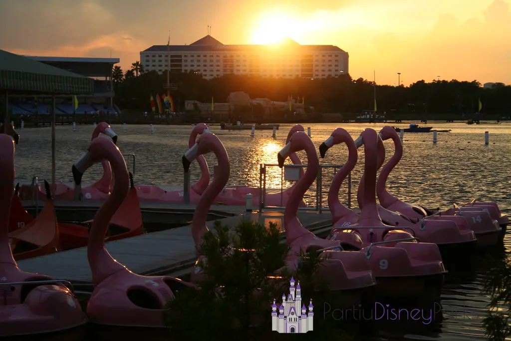 Botes de remos Flamingo