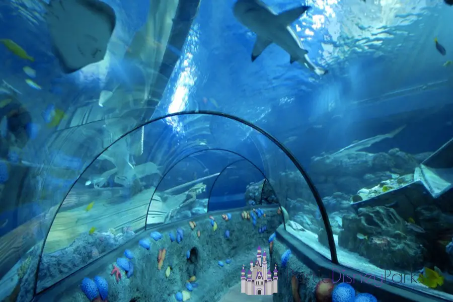 Sea Life Aquarium - Icon Park