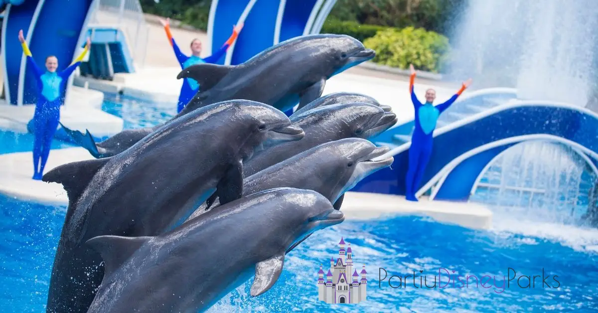 Journées des dauphins à Seaworld