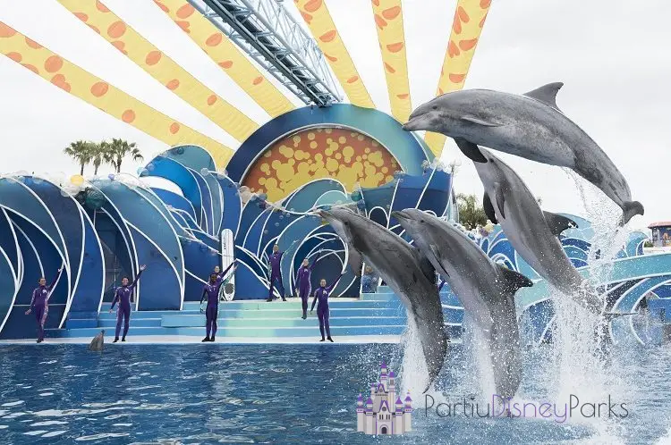 Días de delfines en Seaworld