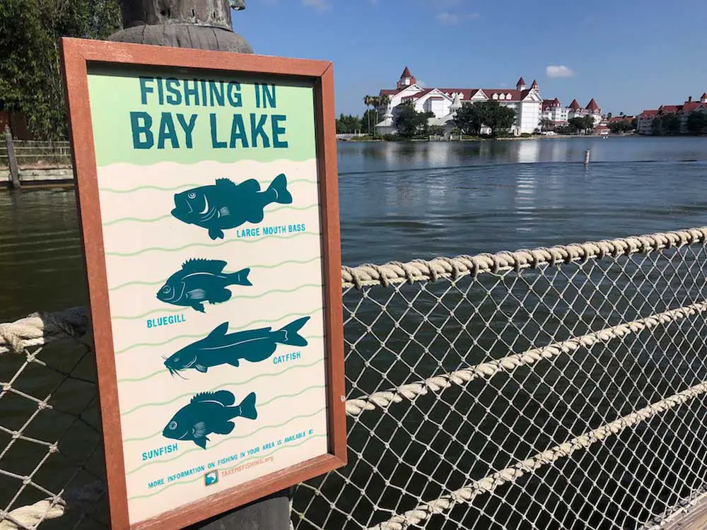Pêcher sur Bay Lake à Disney
