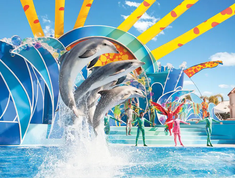 Journées des dauphins à Seaworld