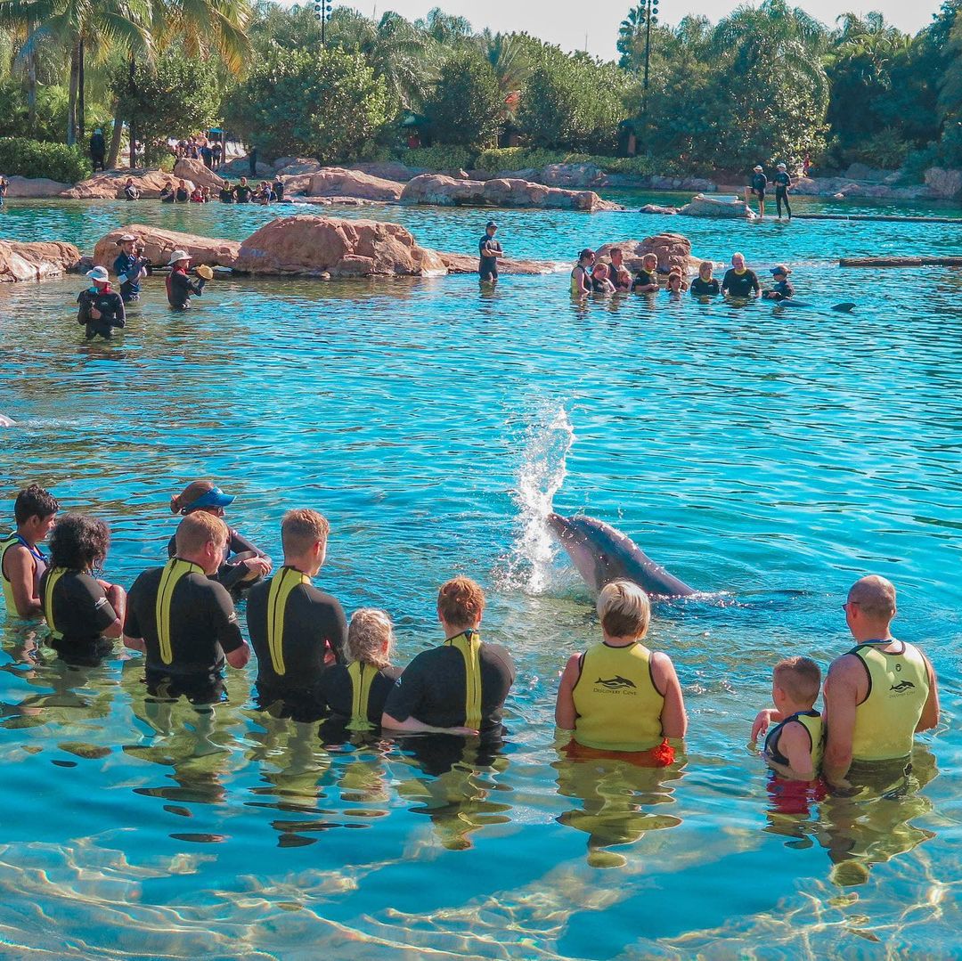 Discovery Cove - Nado con delfines en Orlando