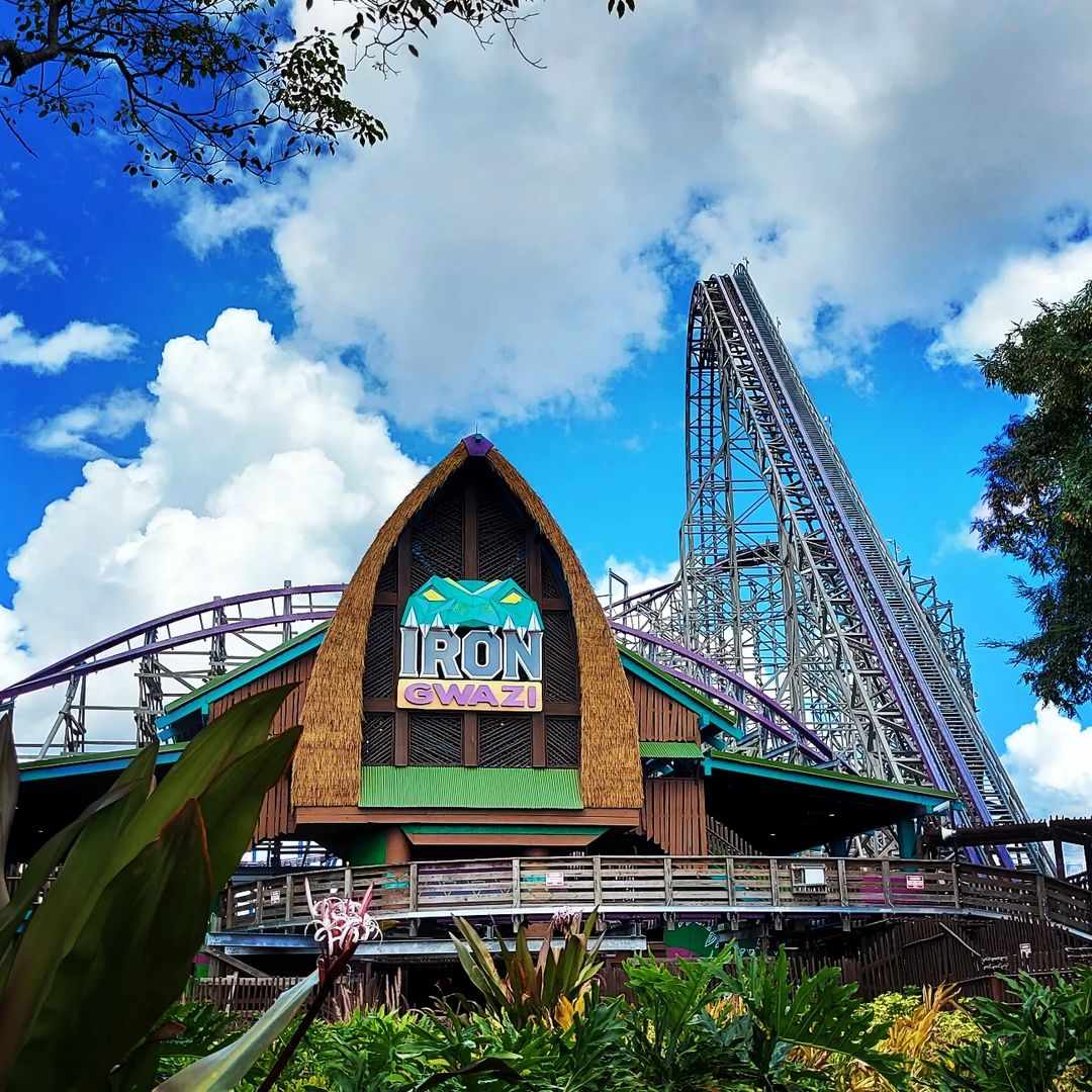 Iron Gwazi - Busch Gardens roller coaster