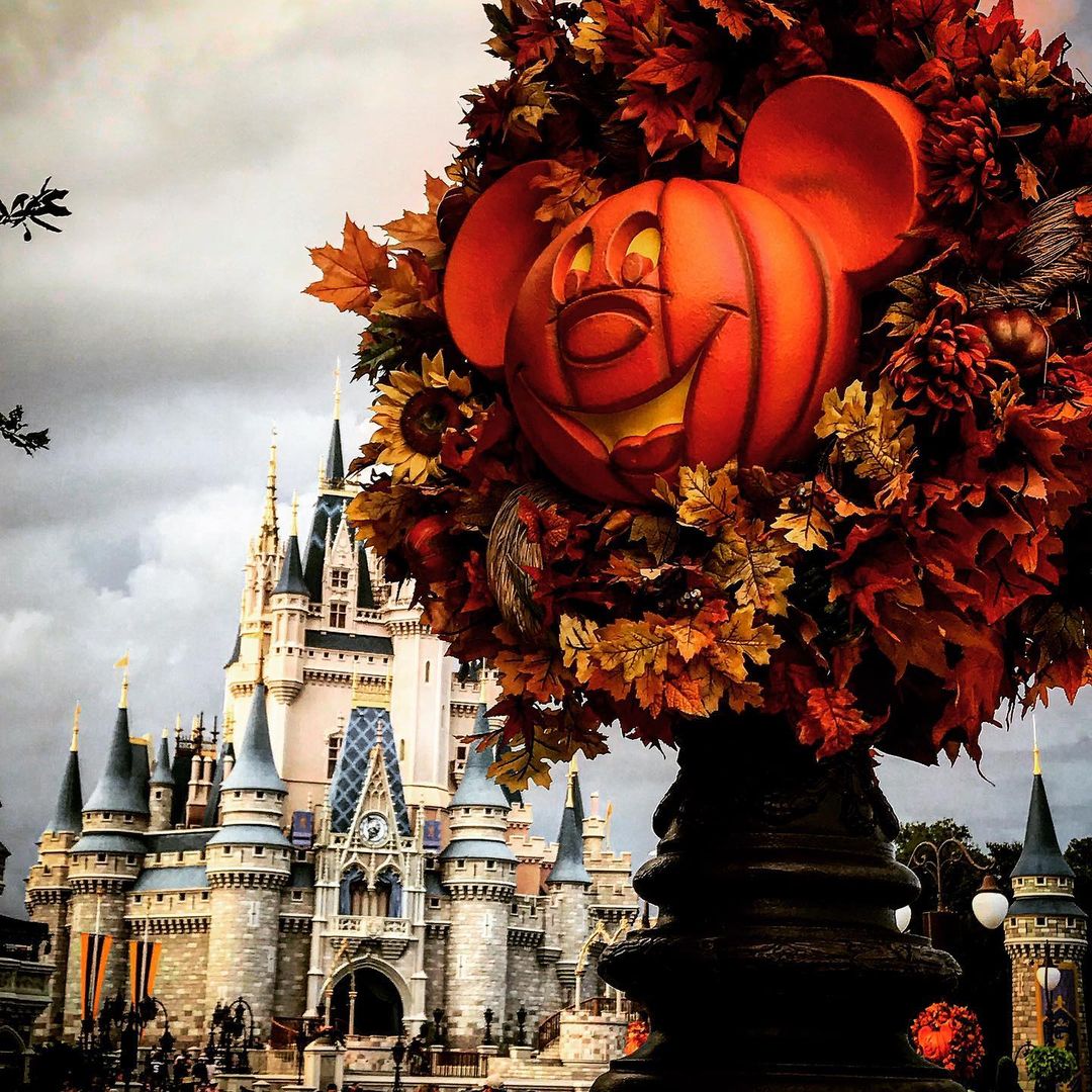 Mickey's not so Scary Halloween Party - Decoração