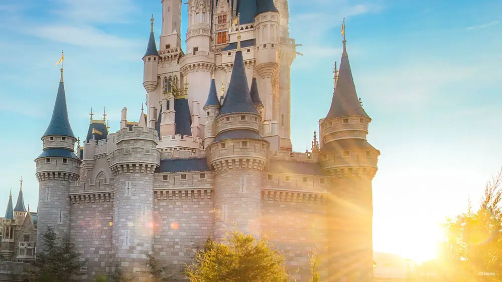 cinderella-castle-zoom-virtual-background