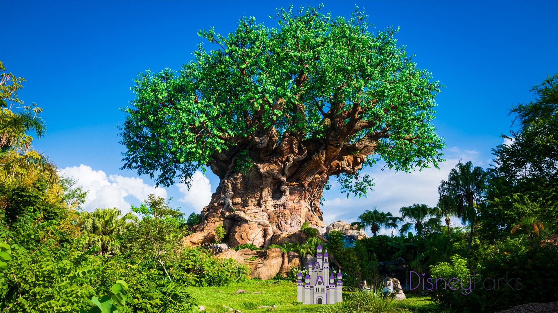 tree-life-animal-kingdom-zoom-background