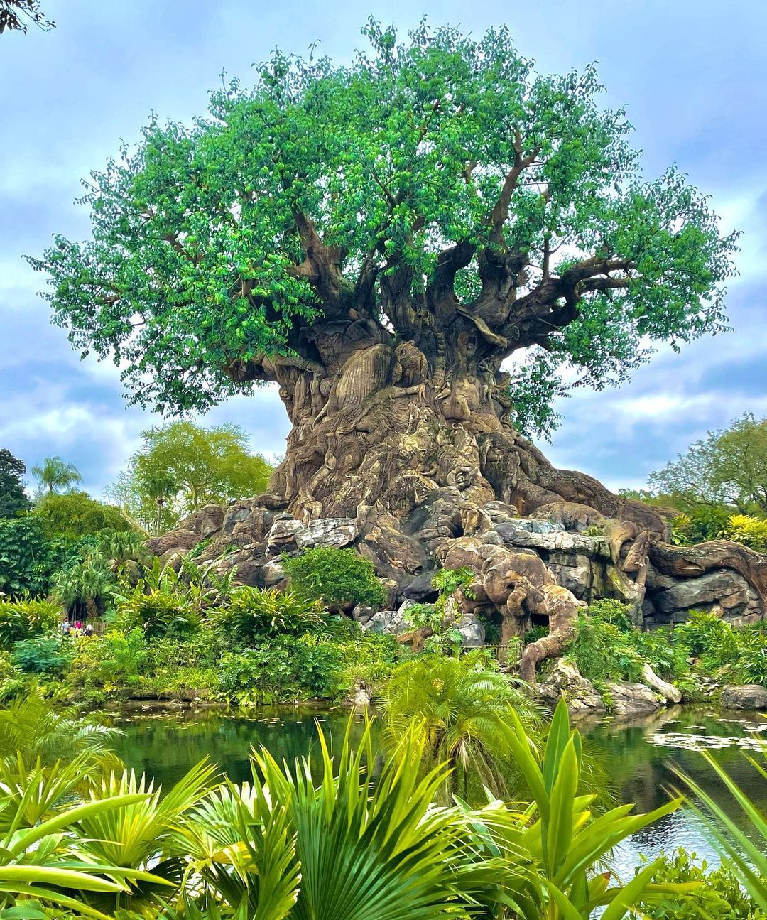 Reino Animal - Parque Walt Disney World