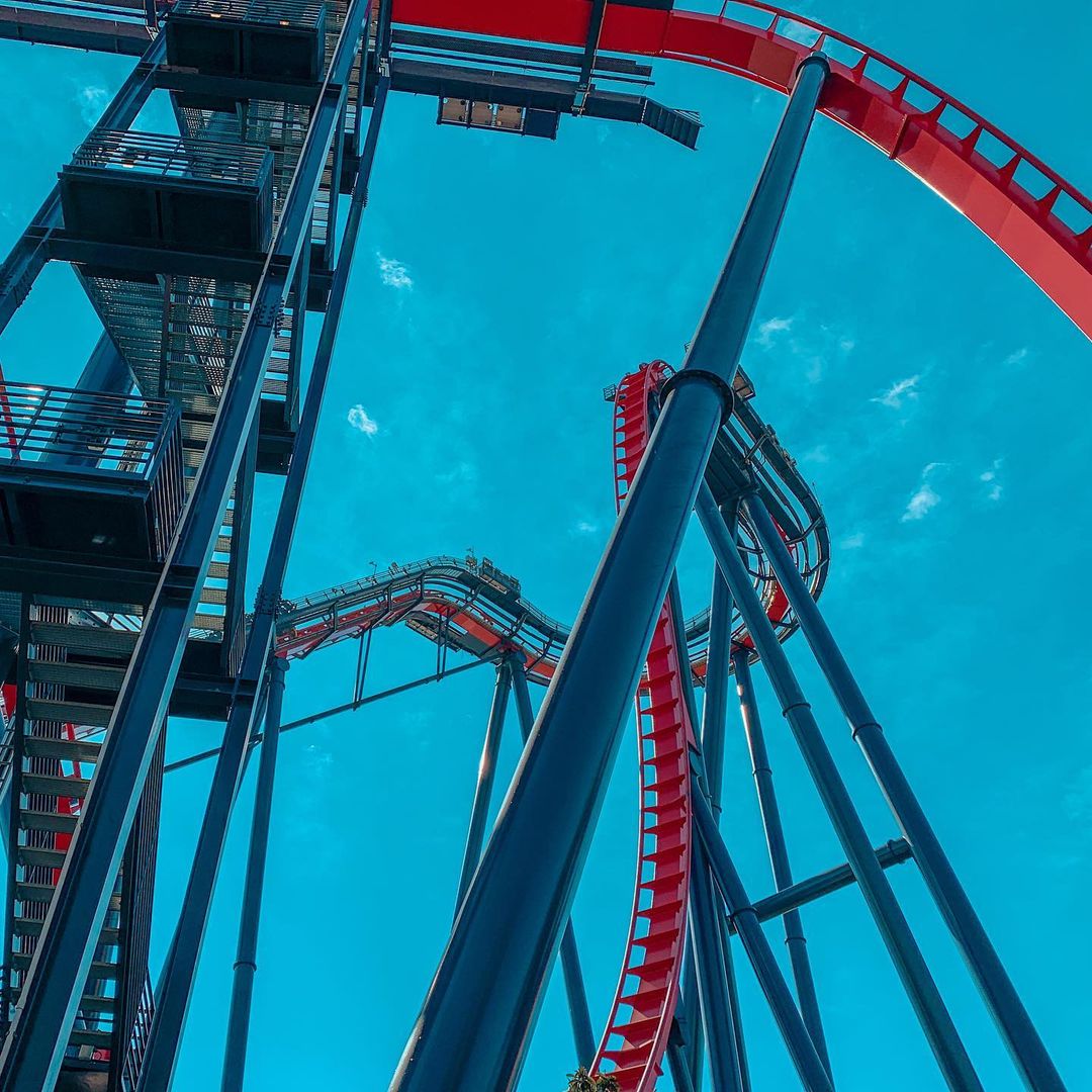 Sheikra - Busch Gardens roller coaster