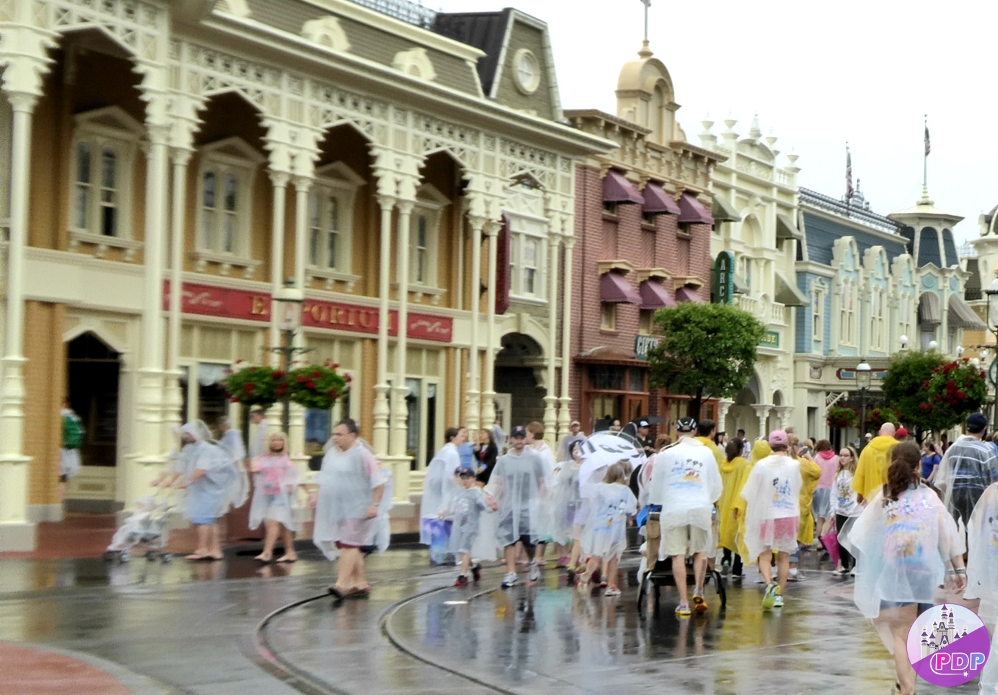 Disney-World-In-Rain