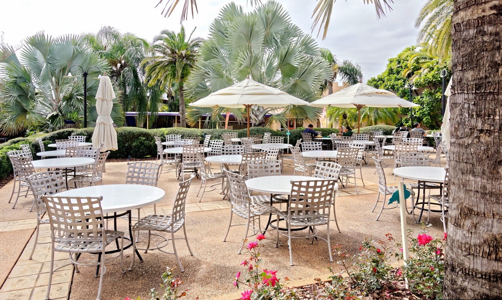 Café Zagora - Restaurant à aire ouverte Busch Gardens