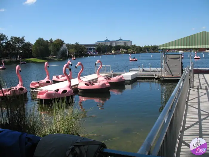 flamingo-paddle-boats-seaworld-orlando