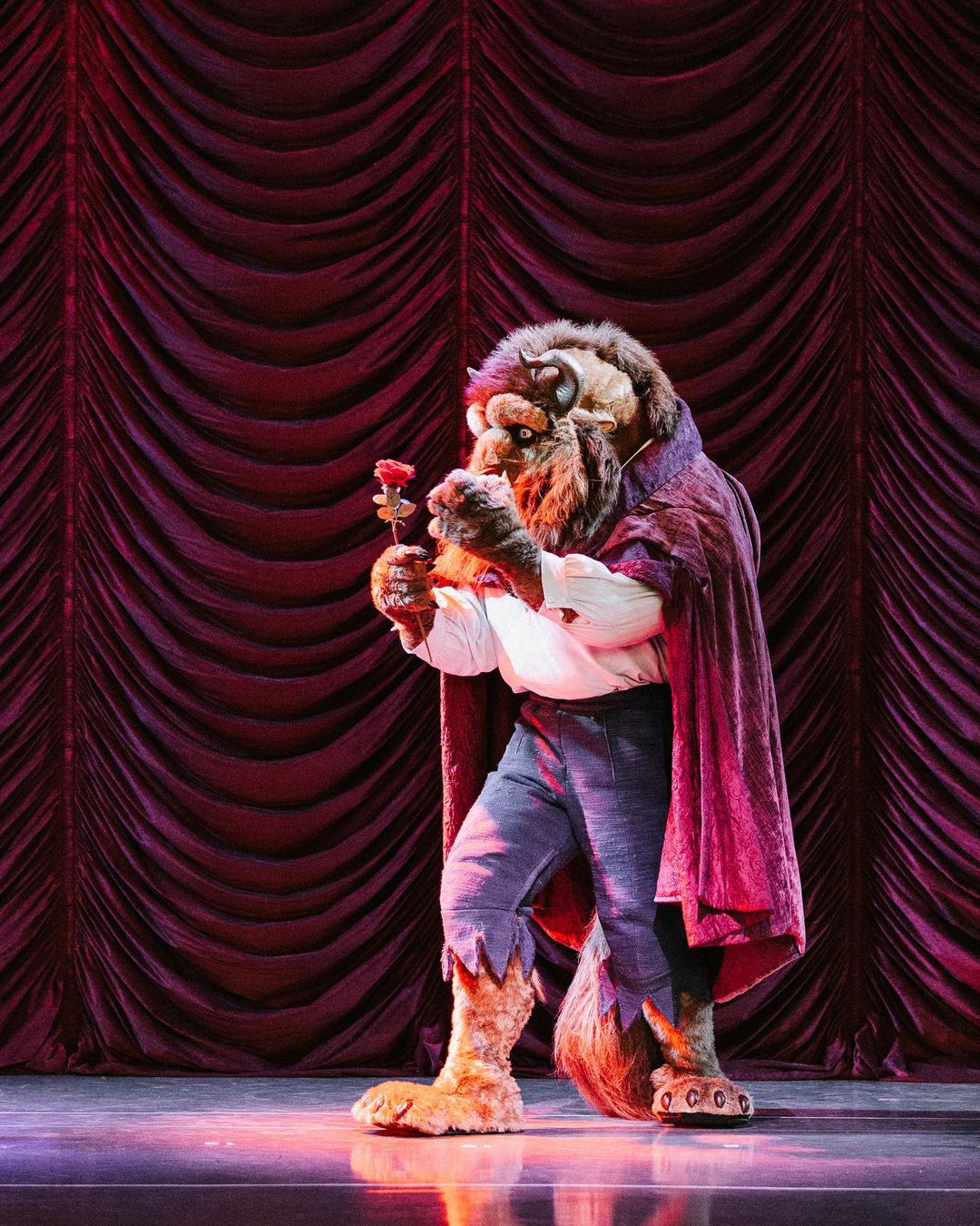 Beauty and the Beast - Live on Stage