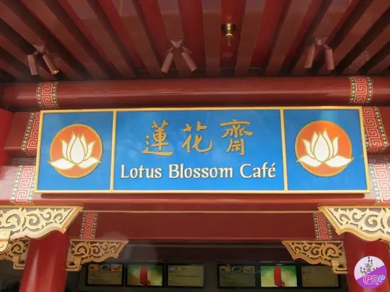 Lotusblüten-Café