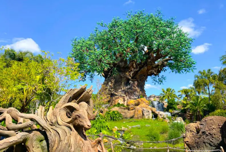 Le royaume animal de Disney