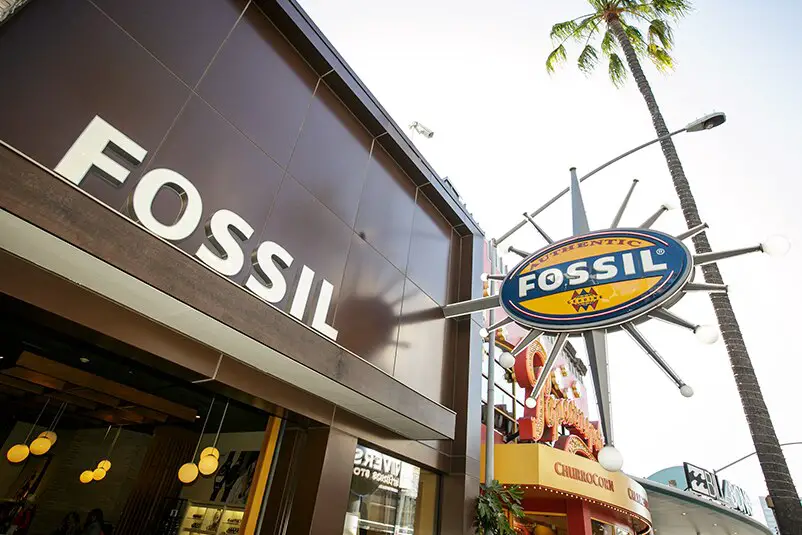 Fossil - Stadtrundgang