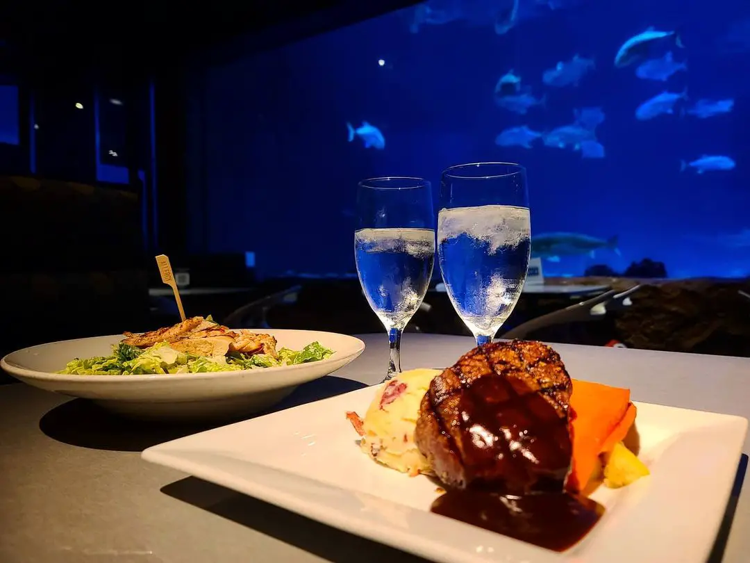 Jantar no Sharks Underwater Grill - SeaWorld Orlando