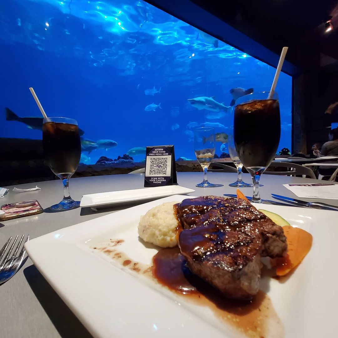 Meal at Sharks UnderWater Grill