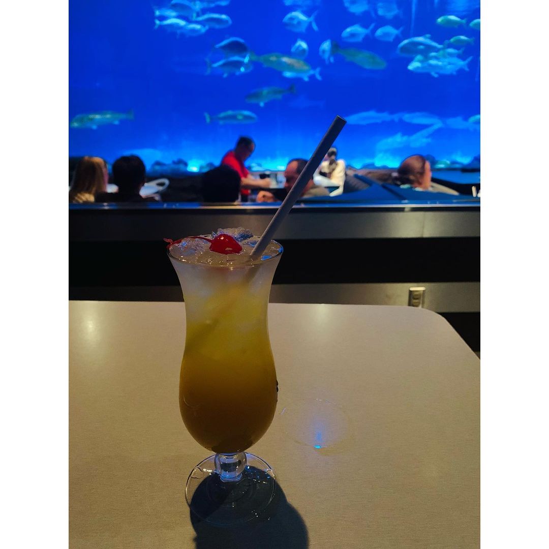 Sharks Underwater Grill - Restaurant SeaWorld