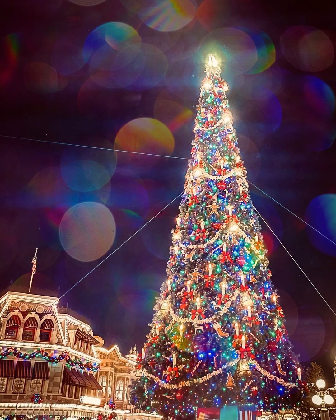 Disney in December - When is the best time to go to Disney and Orlando