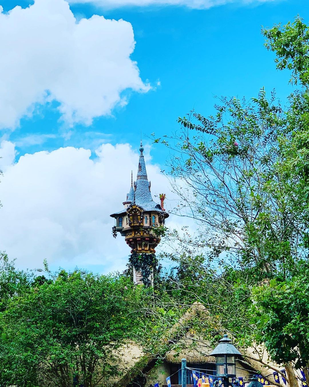 Torre da Rapunzel - Disney em Agosto