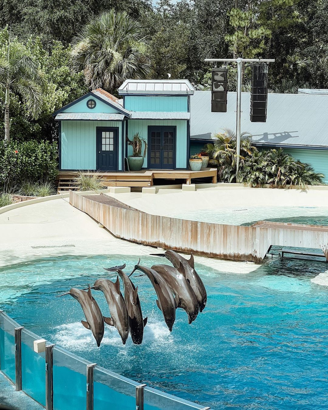 Dolphin Days - Reiseroute von SeaWorld Orlando