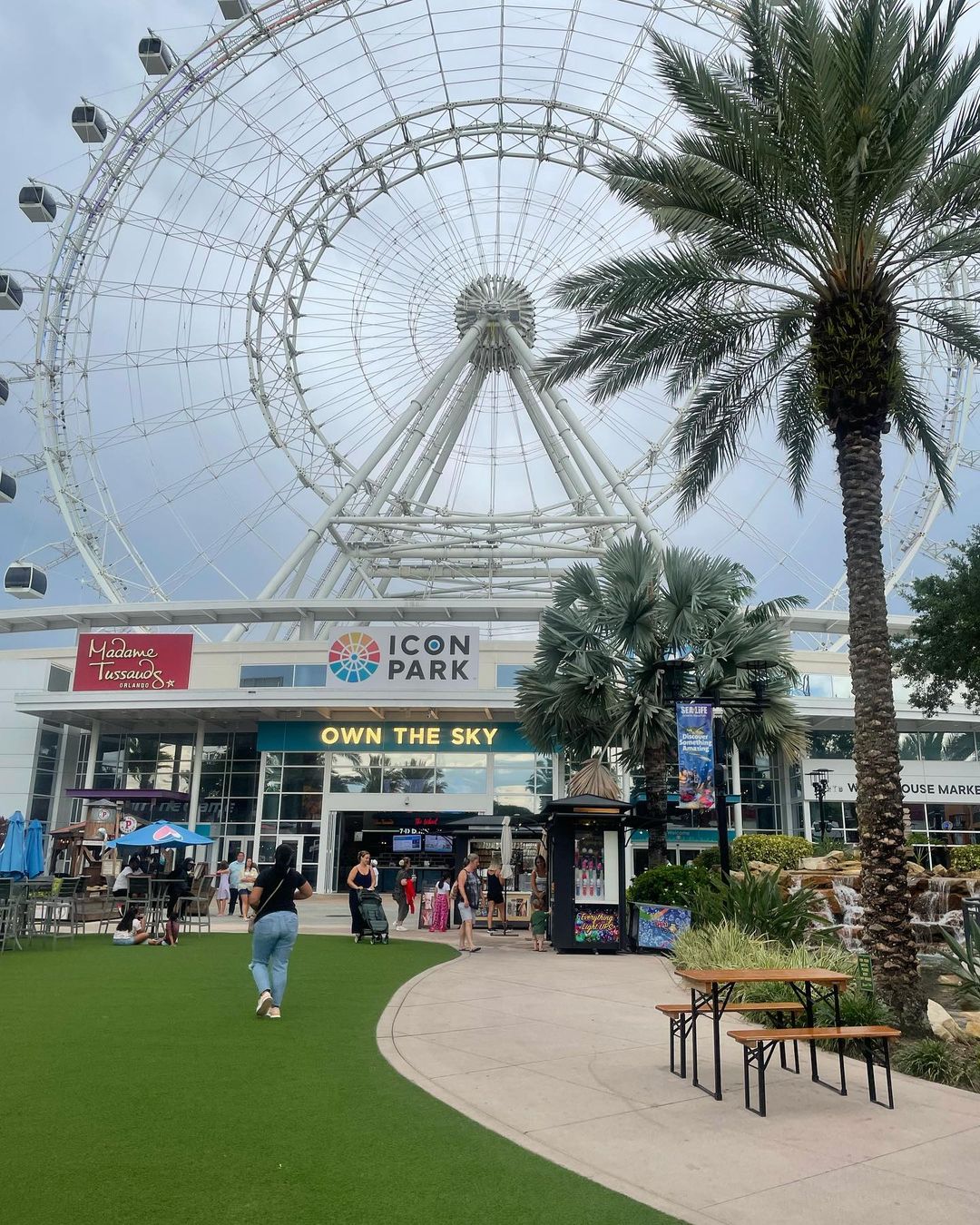 The Wheel ICON - A Roda Gigante de Orlando 