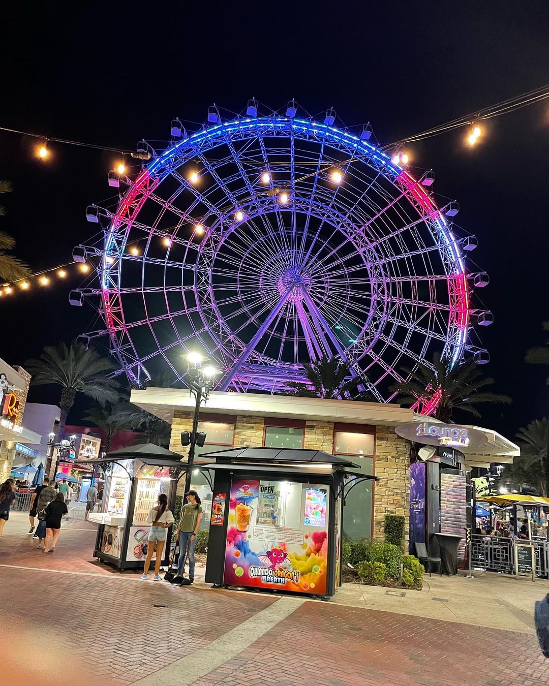 The Wheel Icon - Roda Gigante de Orlando
