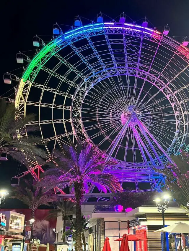 L'ICNE de la roue - La grande roue d'Orlando