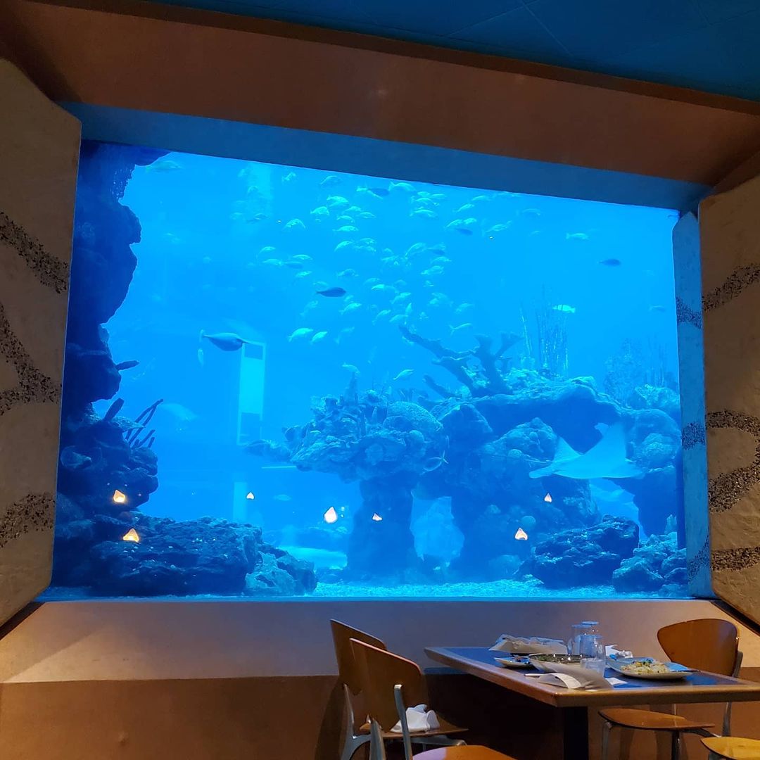Korallenriff - Epcot Restaurant