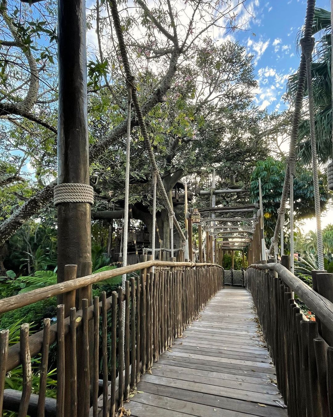 Swiss Family Treehouse - Different Attraction at Magic Kingdom
