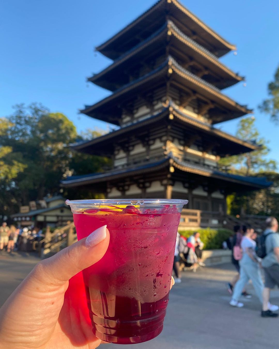 Violet Sake - Japan Pavilion - Drinking Around the World Epcot