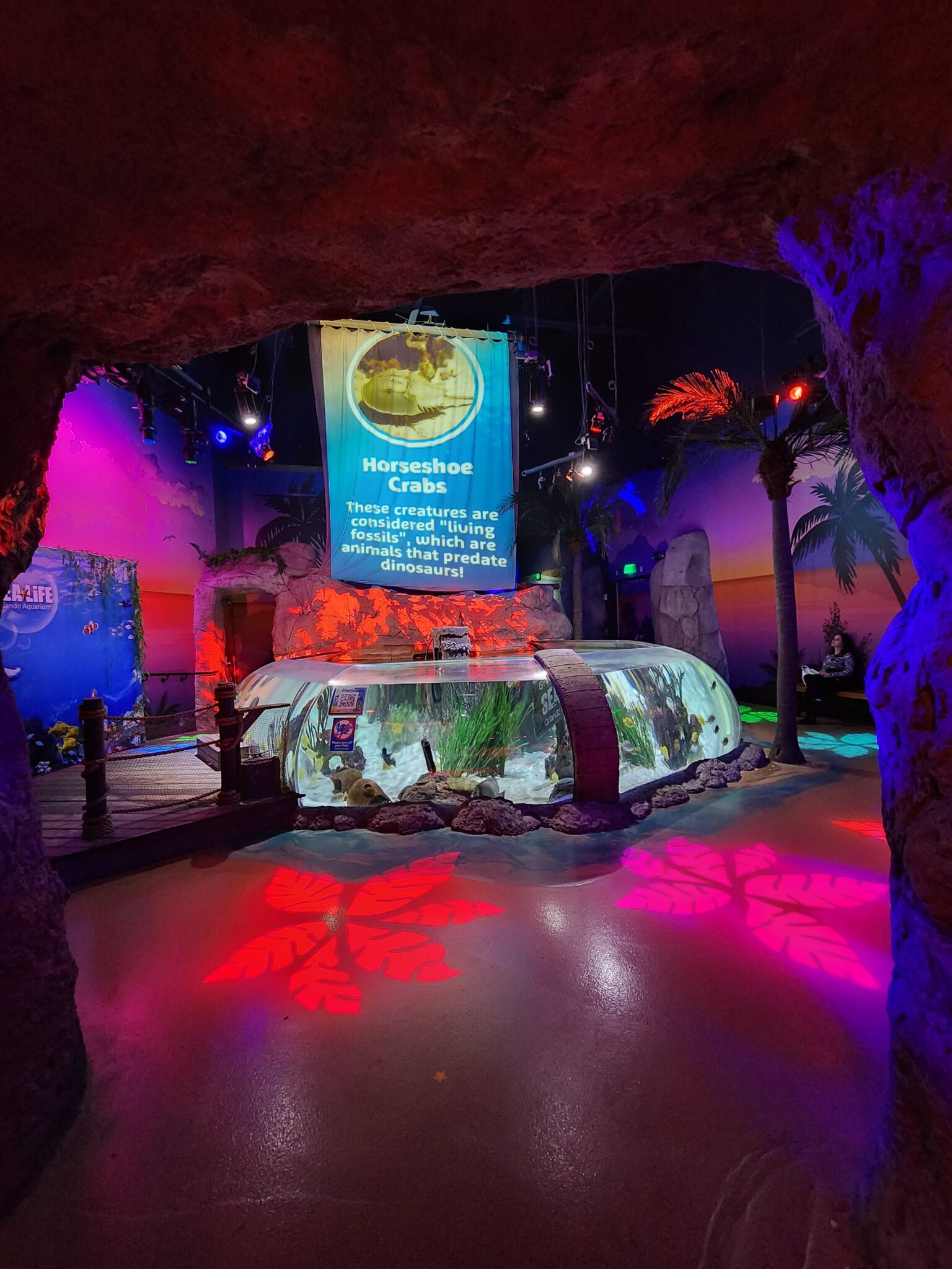 Icon Park Orlando - Aquarium de la vie marine