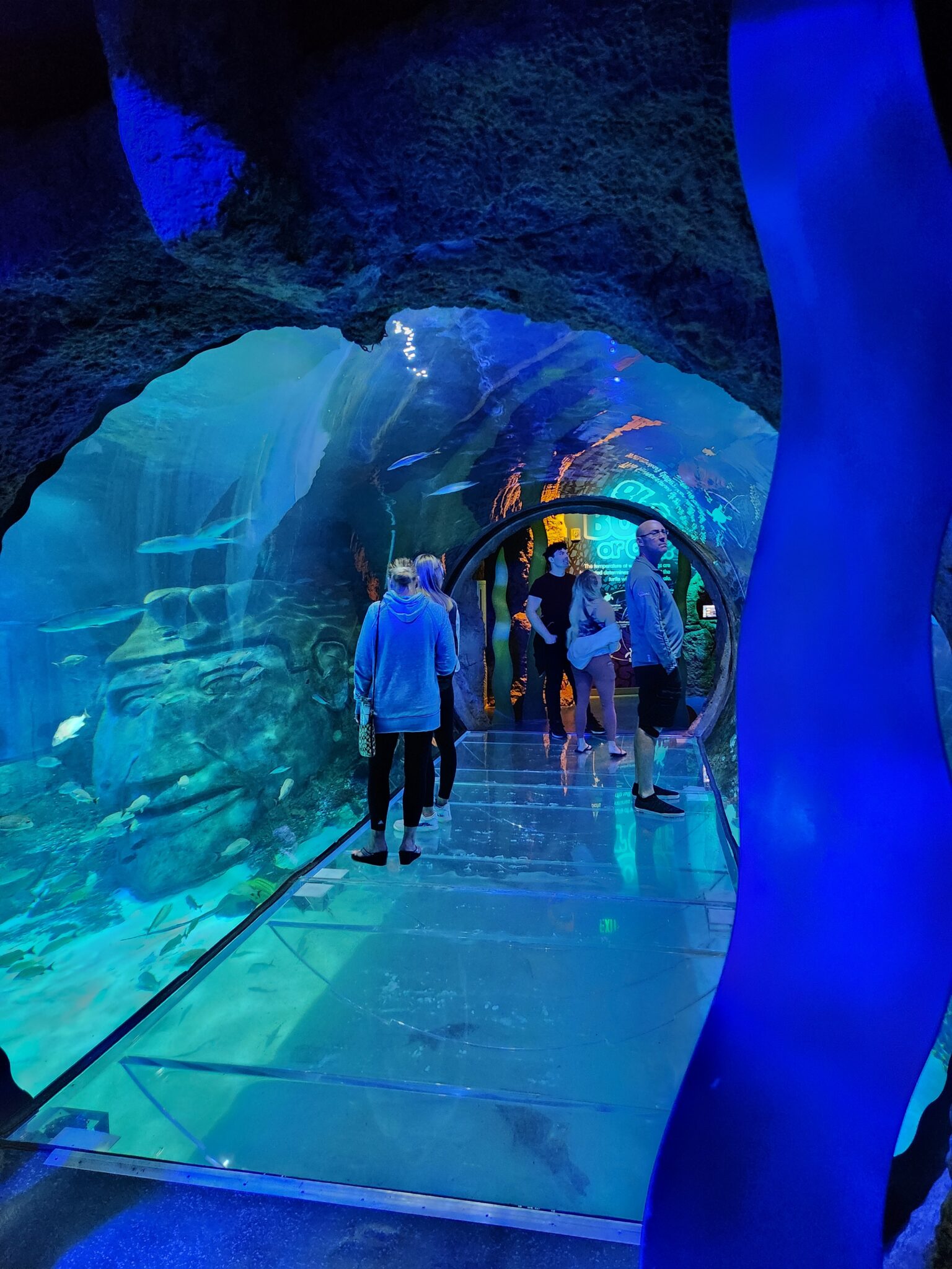 Sealife Aquarium no Icon Park Orlando
