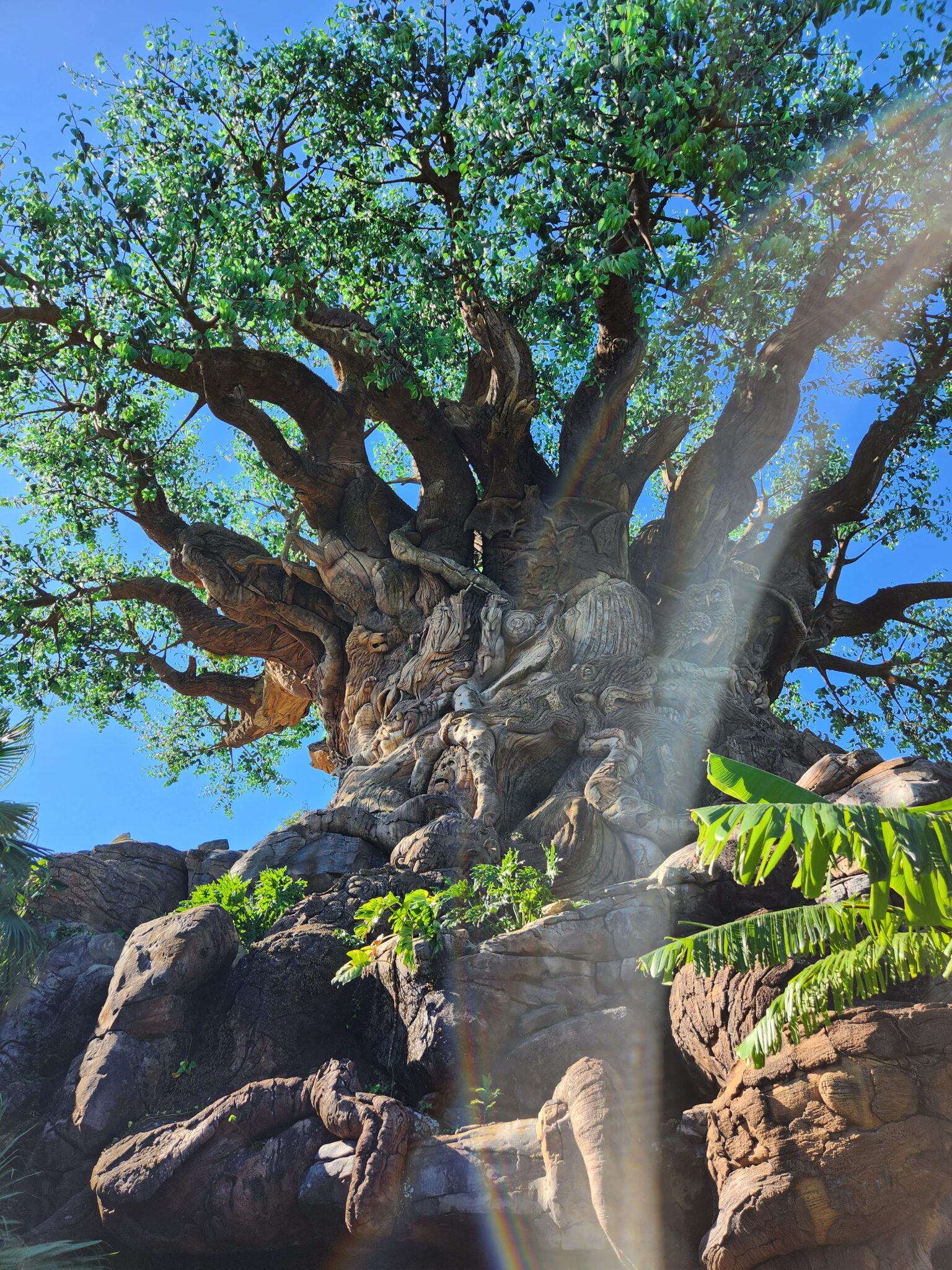 Árvore da Vida no Disney's Animal Kingdom