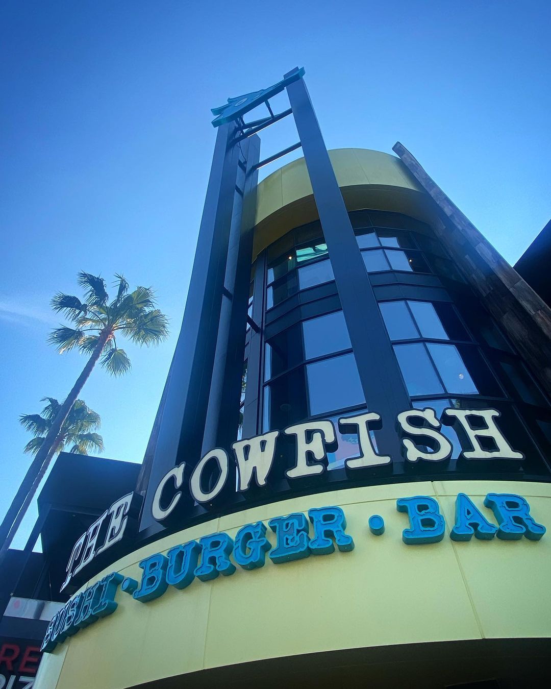 CowFish em Citywalk