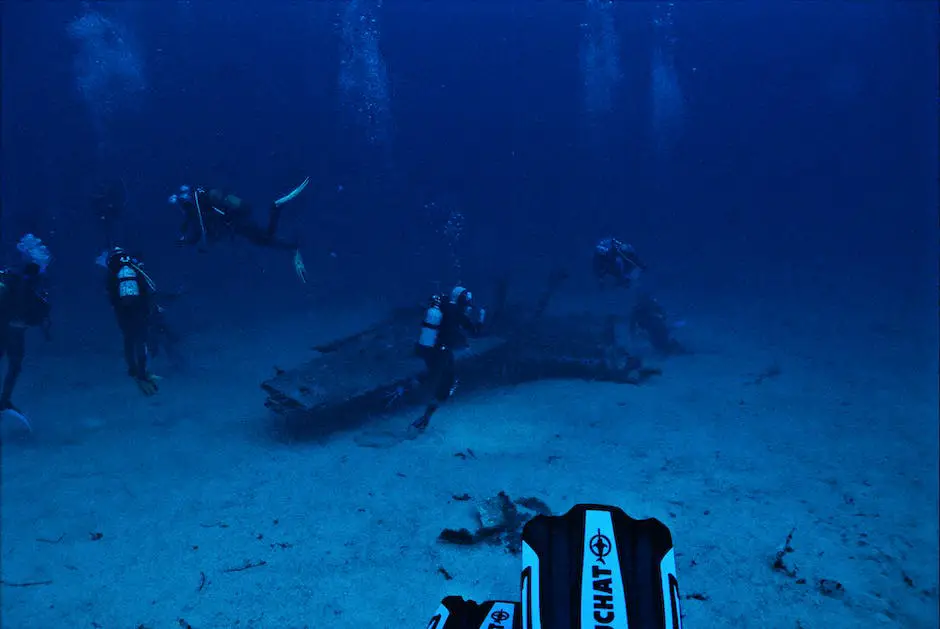 Imagem subaquática do Epcot DiveQuest, mostrando mergulhadores explorando o tanque com várias criaturas marinhas.